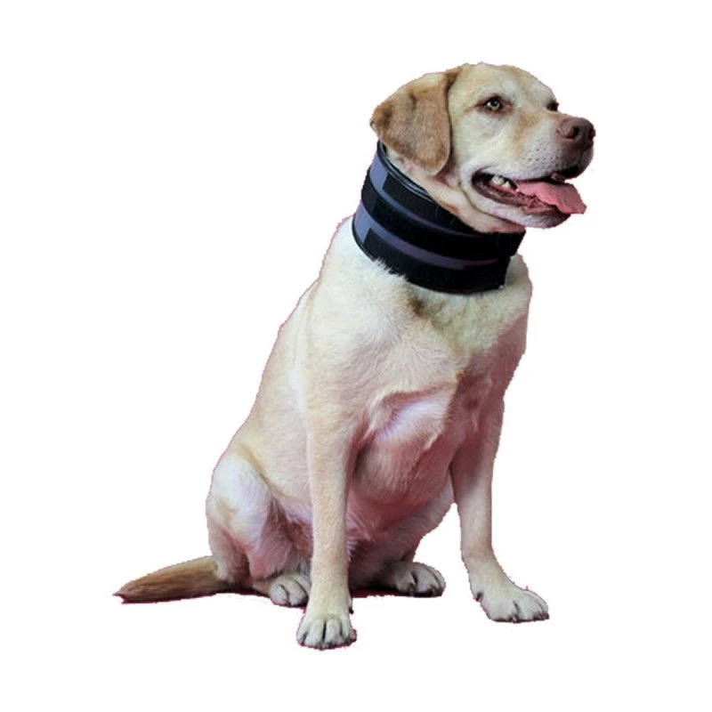 Materiel Collier Bite Free KVP 1 Materiel Collier Bite Free KVP