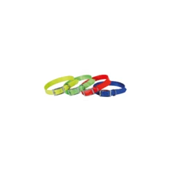 Materiel Collier Chasse