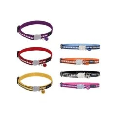 Materiel Collier Chat Red Dingo Réfléchissant