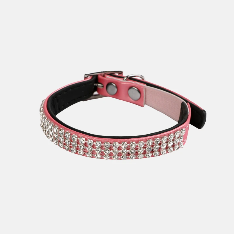 Materiel Collier Chat Wouapy Diam's 1 Materiel Collier Chat Wouapy Diam's