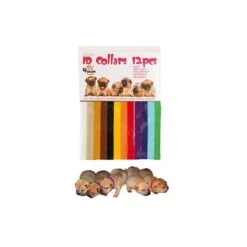 Materiel Collier Identification Chiot