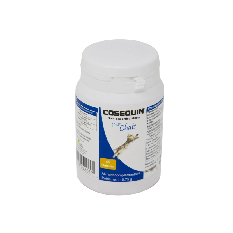 Cosequin Chat 1 Cosequin Chat