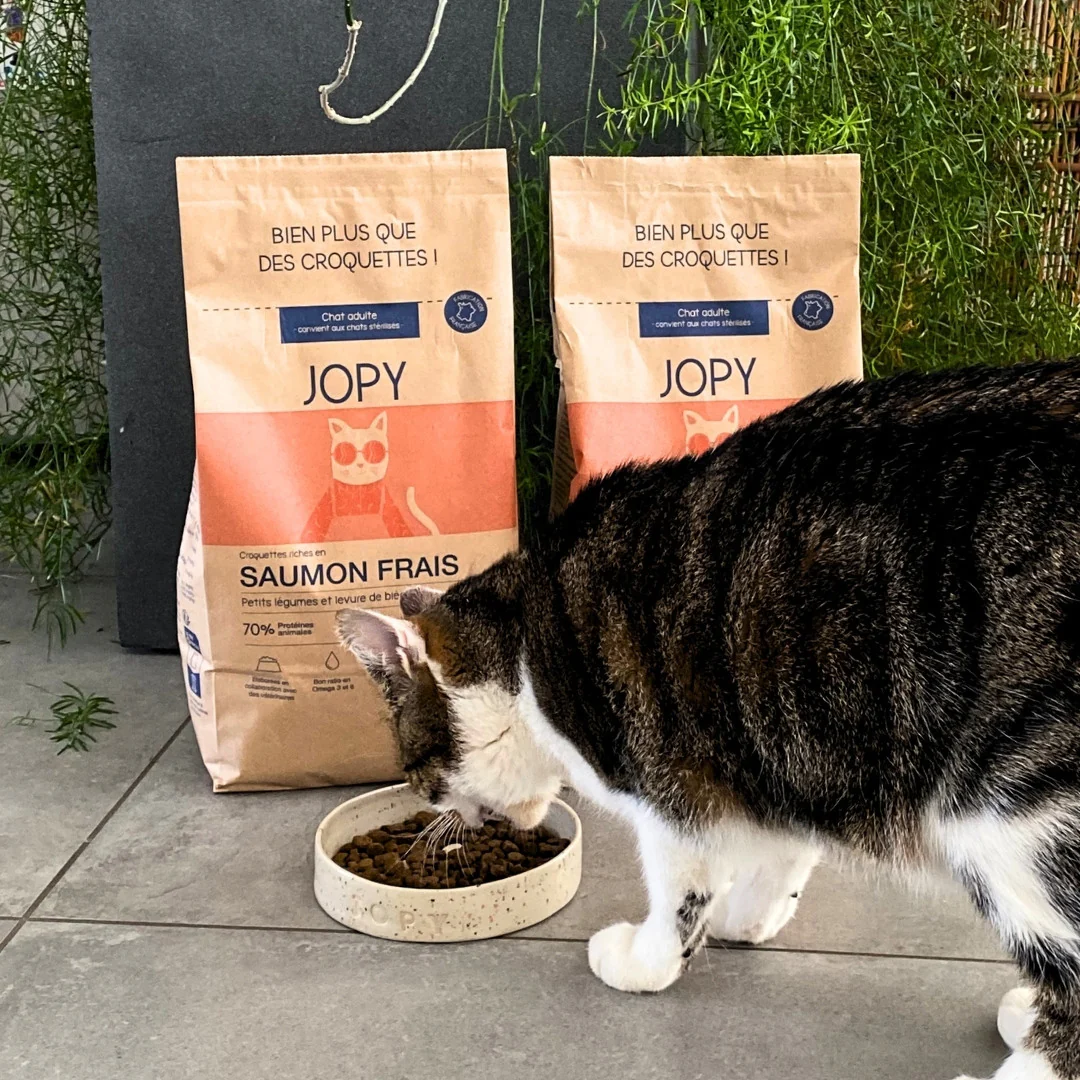 Vetoavenue -Vetoavenue croquettes chat sterilise adulte senior poulet8