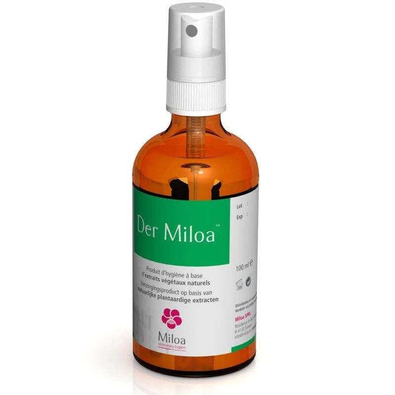 Dermiloa 2 Dermiloa – Image 2