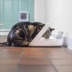 Distributeur Automatique De Nourriture SureFeed Connect -Vetoavenue distributeur automatique de nourriture surefeed connect 5