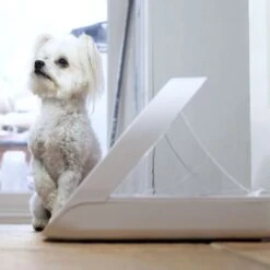 Distributeur Automatique De Nourriture SureFeed Connect -Vetoavenue distributeur automatique de nourriture surefeed connect 6