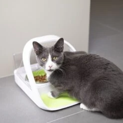 Distributeur Automatique De Nourriture SureFeed Connect -Vetoavenue distributeur automatique de nourriture surefeed connect 7