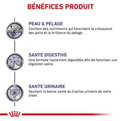 ROYAL CANIN Dog Adult Sachet Repas -Vetoavenue dog adult sachet repas 5