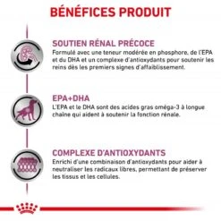 ROYAL CANIN Dog Early Renal -Vetoavenue dog early renal 3