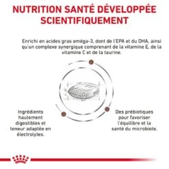 ROYAL CANIN Dog Gastro Intestinal Low Fat Small Dog -Vetoavenue dog gastro intestinal low fat small dog 2