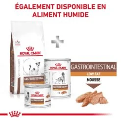 ROYAL CANIN Dog Gastro Intestinal Low Fat Small Dog -Vetoavenue dog gastro intestinal low fat small dog 6