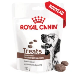 ROYAL CANIN Dog Gastrointestinal Treats