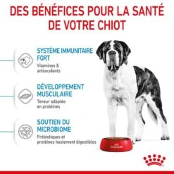 ROYAL CANIN Dog Junior Giant -Vetoavenue dog junior giant 3