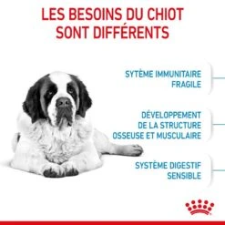 ROYAL CANIN Dog Junior Giant -Vetoavenue dog junior giant 4