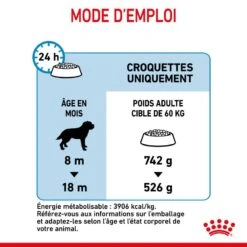ROYAL CANIN Dog Junior Giant -Vetoavenue dog junior giant 5