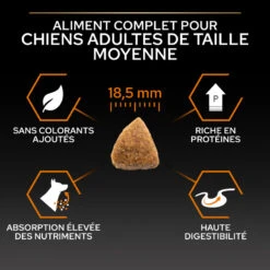 PURINA PRO PLAN Dog Large Athletic Adult Chicken Optibalance 22 PURINA PRO PLAN Dog Large Athletic Adult Chicken Optibalance -Vetoavenue dog large athletic adult chicken optibalance 10