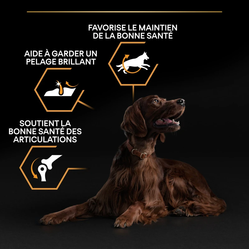 PURINA PRO PLAN Dog Large Athletic Adult Chicken Optibalance 9 PURINA PRO PLAN Dog Large Athletic Adult Chicken Optibalance – Image 9