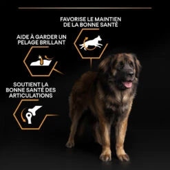 PURINA PRO PLAN Dog Large Robust Adult Poulet Optibalance 26 PURINA PRO PLAN Dog Large Robust Adult Poulet Optibalance -Vetoavenue dog large robust adult chicken optibalance 12