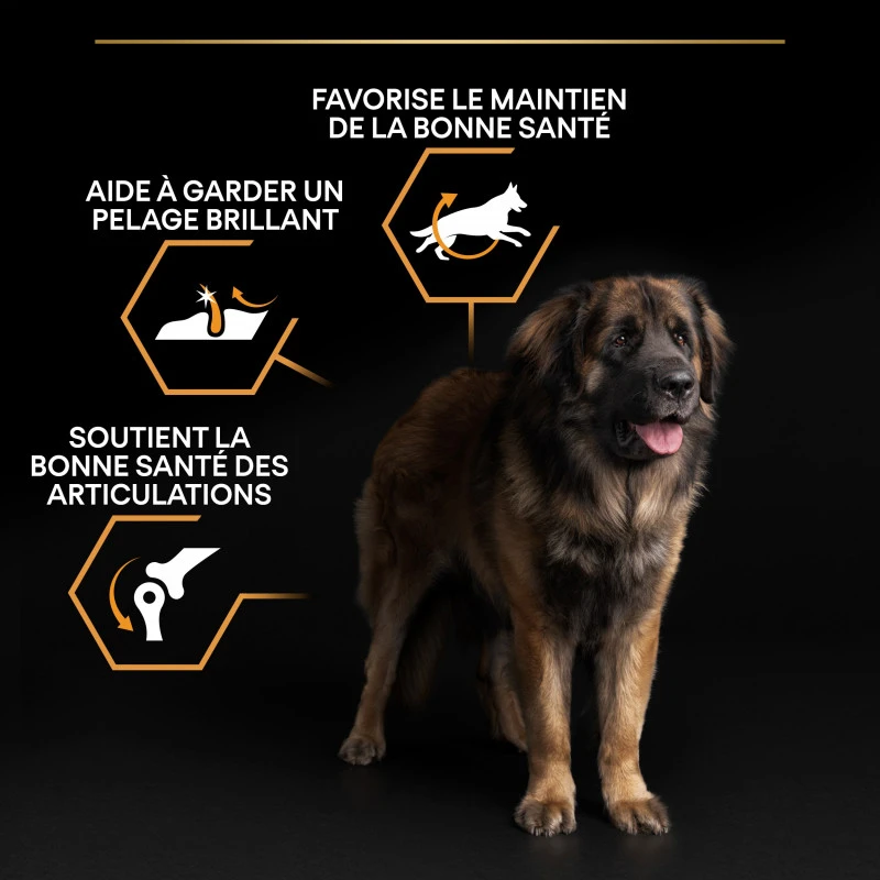 PURINA PRO PLAN Dog Large Robust Adult Poulet Optibalance 13 PURINA PRO PLAN Dog Large Robust Adult Poulet Optibalance – Image 13