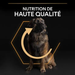 PURINA PRO PLAN Dog Large Robust Adult Poulet Optibalance 27 PURINA PRO PLAN Dog Large Robust Adult Poulet Optibalance -Vetoavenue dog large robust adult chicken optibalance 13