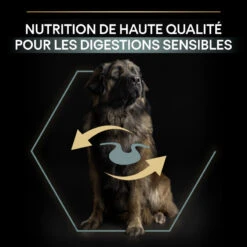 PURINA PRO PLAN Dog Large Robust Adult Sensitive Digestion Lamb Optidigest -Vetoavenue dog large robust adult sensitive digestion lamb optidigest 10