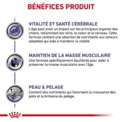 ROYAL CANIN Dog Mature Consult Sachet Repas 13 ROYAL CANIN Dog Mature Consult Sachet Repas -Vetoavenue dog mature consult sachet repas 4