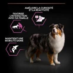 PURINA PRO PLAN Dog Medium & Large Adult 7+ Chicken Optiage -Vetoavenue dog medium large adult 7 chicken optiage 8