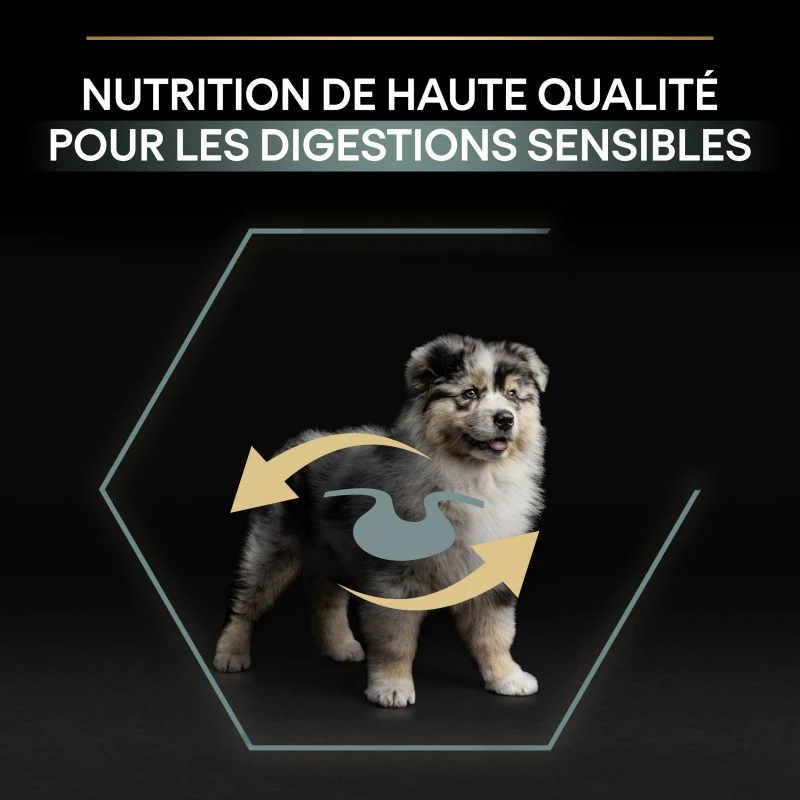 PURINA PRO PLAN Dog Medium Puppy Sensitive Digestion Lamb Optidigest 11 PURINA PRO PLAN Dog Medium Puppy Sensitive Digestion Lamb Optidigest – Image 11
