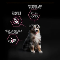 PURINA PRO PLAN Dog Medium Puppy Sensitive Skin Optiderma 31 PURINA PRO PLAN Dog Medium Puppy Sensitive Skin Optiderma -Vetoavenue dog medium puppy sensitive skin optiderma 15