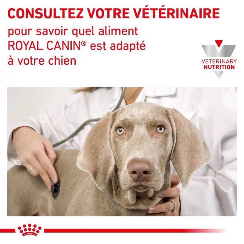ROYAL CANIN Dog Mobility Support 7 ROYAL CANIN Dog Mobility Support – Image 7