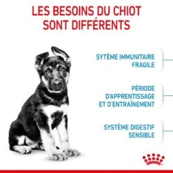 ROYAL CANIN Dog Puppy Maxi 11 ROYAL CANIN Dog Puppy Maxi -Vetoavenue dog puppy maxi 3