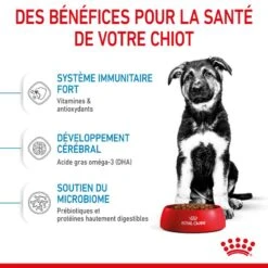 ROYAL CANIN Dog Puppy Maxi 12 ROYAL CANIN Dog Puppy Maxi -Vetoavenue dog puppy maxi 4