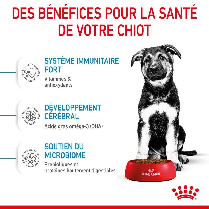 ROYAL CANIN Dog Puppy Maxi 5 ROYAL CANIN Dog Puppy Maxi – Image 5