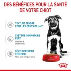 ROYAL CANIN Dog Puppy Maxi Sachet Repas 13 ROYAL CANIN Dog Puppy Maxi Sachet Repas -Vetoavenue dog puppy maxi sachet repas 4