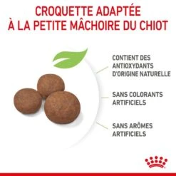 ROYAL CANIN Dog Puppy Medium 10 ROYAL CANIN Dog Puppy Medium -Vetoavenue dog puppy medium 2