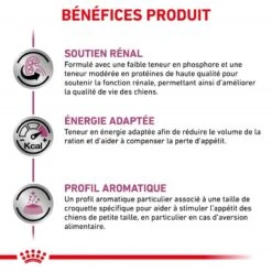 ROYAL CANIN Dog Renal Small Dog -Vetoavenue dog renal small dog 2