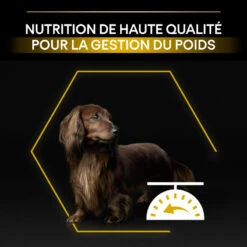PURINA PRO PLAN Dog Small&Mini Adult Light Sterilised Optiweight Poulet 21 PURINA PRO PLAN Dog Small&Mini Adult Light Sterilised Optiweight Poulet -Vetoavenue dog smallmini adult light sterilised optiweight poulet 10
