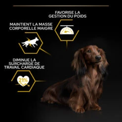 PURINA PRO PLAN Dog Small&Mini Adult Light Sterilised Optiweight Poulet 19 PURINA PRO PLAN Dog Small&Mini Adult Light Sterilised Optiweight Poulet -Vetoavenue dog smallmini adult light sterilised optiweight poulet 8