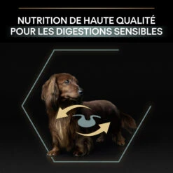 PURINA PRO PLAN Dog Small Et Mini Adult Sensitive Digestion Optidigest Agneau -Vetoavenue dog smallmini adult sensitive digestion optidigest agneau 7