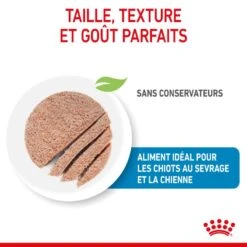 ROYAL CANIN Dog Starter Mother & Babydog Mousse Boîte 8 ROYAL CANIN Dog Starter Mother & Babydog Mousse Boîte -Vetoavenue dog starter mother babycat mousse boite 2