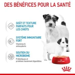 ROYAL CANIN Dog Starter Mother & Babydog Mousse Boîte 9 ROYAL CANIN Dog Starter Mother & Babydog Mousse Boîte -Vetoavenue dog starter mother babycat mousse boite 3