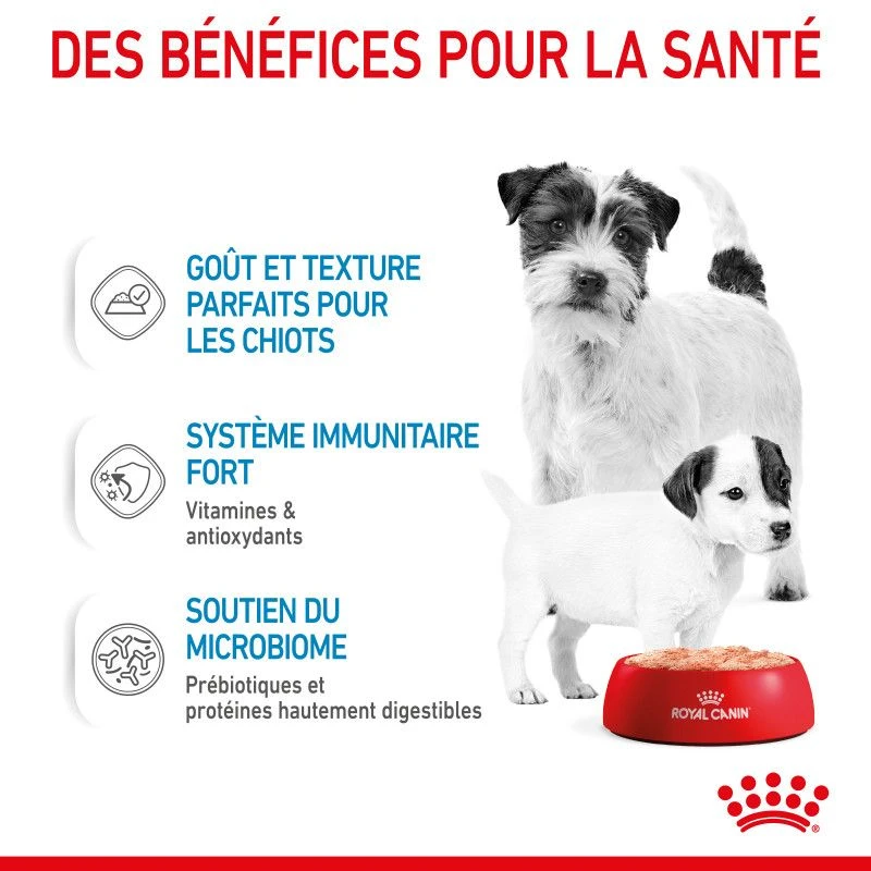 ROYAL CANIN Dog Starter Mother & Babydog Mousse Boîte 4 ROYAL CANIN Dog Starter Mother & Babydog Mousse Boîte – Image 4
