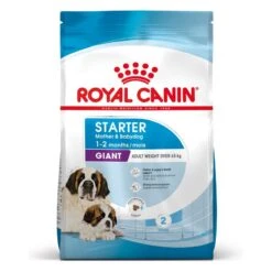 ROYAL CANIN Dog Starter Mother & Babydog Giant