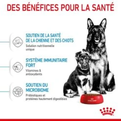 ROYAL CANIN Dog Starter Mother & Babydog Maxi 12 ROYAL CANIN Dog Starter Mother & Babydog Maxi -Vetoavenue dog starter mother babydog maxi 4