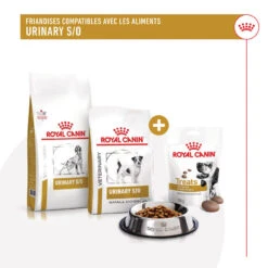 ROYAL CANIN Dog Urinary Treats -Vetoavenue dog urinary treats 3