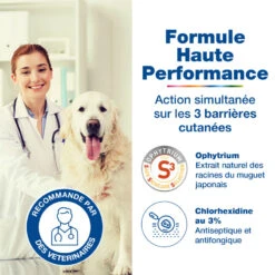 CEVA Douxo S3 Pyo Mousse -Vetoavenue douxo s3 pyo mousse 3