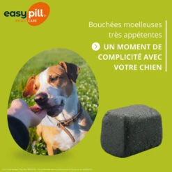 Easypill Cardiflex Chien 7 Easypill Cardiflex Chien -Vetoavenue easypill cardiflex chien 2