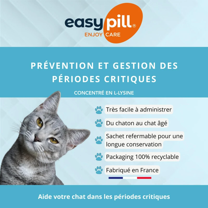 Easypill Lysine + Chat 2 Easypill Lysine + Chat – Image 2