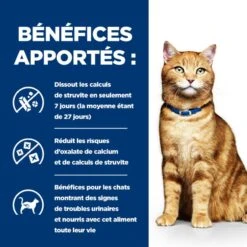 C/D Urinary Multicare Boîte émincé Pour Chat Poulet 11 C/D Urinary Multicare Boîte émincé Pour Chat Poulet -Vetoavenue feline c d multicare boite emince 3