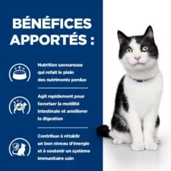I/d Digestive Sachet Repas Pour Chat Et Chaton Saumon 11 I/d Digestive Sachet Repas Pour Chat Et Chaton Saumon -Vetoavenue feline i d digestive care activ biome saumon sachet repas 3